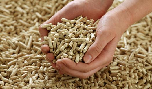 Autoridades regionales se refieren a la situación de abastecimiento de pellet en Aysén