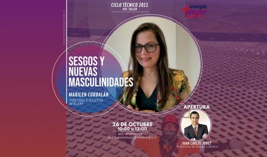 Con  taller de “Sesgos y Nuevas Masculinidades” concluye el Ciclo de Talleres del segundo año de implementación del Plan Público - Privado “Energía +Mujer. 