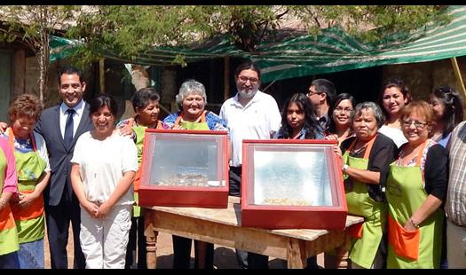 Mujeres de Punitaqui beneficiadas por el Fondo de Acceso Energético