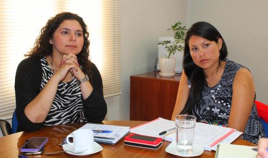 Alianza estratégica entre Energía y Bienes Nacionales busca potenciar el desarrollo de proyectos energéticos en Atacama