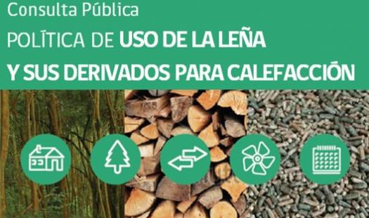 Se inicia consulta pública sobre política para uso de la leña