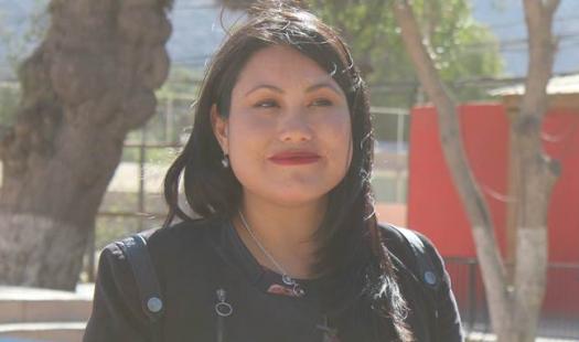 Seremi Bondi valoró la aprobación de la primera Ley de Eficiencia Energética