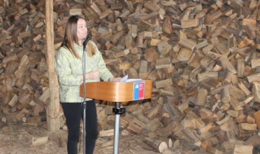 Subsecretaria de Energía invita a leñeros a postular al Fondo Más Leña Seca