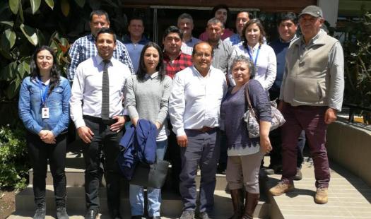 Productores y comercializadores de leña aprenden técnicas de secado y desarrollo empresarial