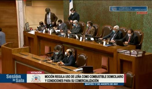 Ministerio de Energía celebra aprobación de nueva regulación para uso de la leña como combustible domiciliario certificado