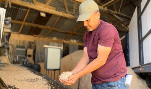 Seremi de Energía visitó a productor de pellet en la Región del Maule