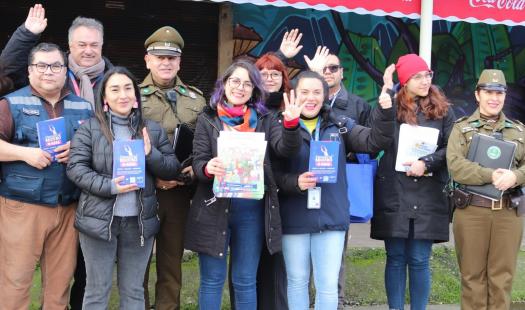  Cerca de 100 mil personas postularon al Subsidio Eléctrico en la Región de Los Lagos