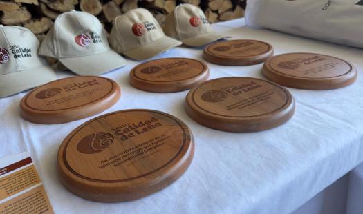 Extienden plazo de postulación al programa “Sello Calidad de Leña” del Ministerio de Energía