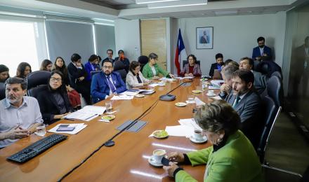 Consejo de Ministros reconoce a seis comunas en zonas de transición para aplicar rebaja de tarifa el...