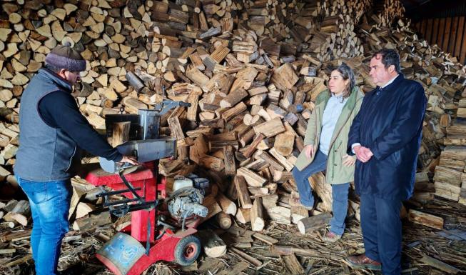 Centros Biomasa se preparan con más de 50 mil m³ de leña seca para abastece...