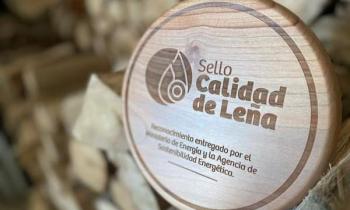 Entregan Sello de Calidad de Leña a 82 nuevos comerciantes entre las regiones de O´Higgins y Aysén
