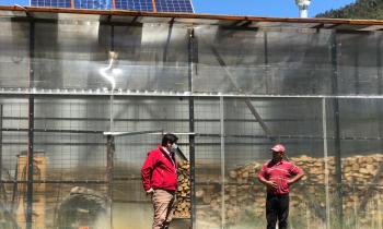 Programa Leña Más Seca benefició con equipamiento y tecnología a comerciantes para aumentar oferta de leña y disminuir la contaminación 