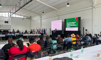 Ministerio de Energía abre convocatoria para integrar la Plataforma de Pueblos Indígenas para la Transición En...