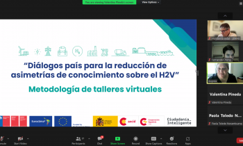 Nuevo ciclo de talleres virtuales para la reducción de asimetrías de conocimiento sobre hidrógeno verde se impartió en Magallanes 