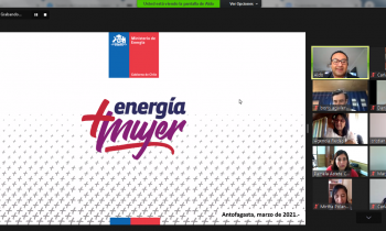 MESA REGIONAL ENERGÍA + MUJER PRESENTÓ PLAN DE TRABAJO 2021