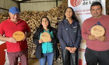 Seis nuevos comerciantes de la Provincia de Concepción se suman al Sello Calidad de Leña 