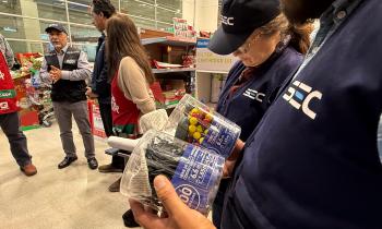 Biobío refuerza fiscalización de luces navideñas y llama a comprar solo productos certificados