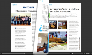 Iniciativa pionera: COSOC de Energía de Magallanes estrena su primer boletín informativo 