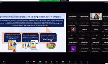 Secretaría Regional de Energía de Magallanes dicta primer taller on line sobre eficiencia energética para el s...