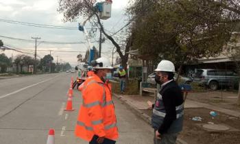 Autoridades de energía refuerzan fiscalización en tendido eléctrico de baja tensión y supervisan medidas de empresa distribuidora eléctrica debido a sistema frontal que afecta a nuestra región