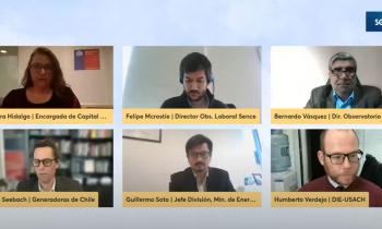 Se presentan resultados del Estudio de Brechas sobre Generación Eléctrica en Chile