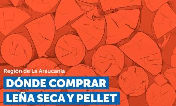 Informe de leña y pellet para la intercomuna (PDA Temuco)
