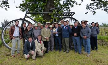 Viña Cono Sur recibió Sello de Eficiencia Energética 2017