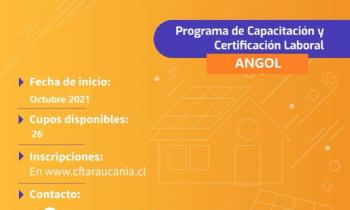 Energía y CFT Araucanía ofrecen curso gratis y certificado para instaladores solares en Malleco