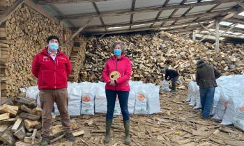 Seremi de Energía de Los Lagos invita a productores y comerciantes de la región a participar del taller sobre el Sello de Calidad de Leña