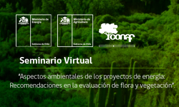 Seminario Virtual - Aspectos ambientales de los proyectos de energía