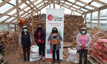 Entregan Sello de Calidad de Leña a comerciantes de la isla grande de Chiloé