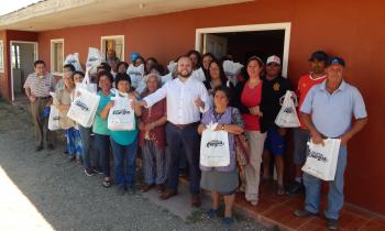 Ahorro con ampolletas LED equivale al consumo de Vicuña o Illapel en un año