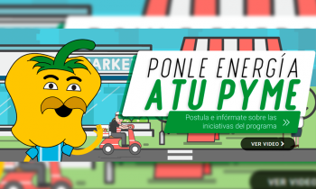 Webinar reunió a 33 empresas interesadas en el programa “Ponle Energía a tu Pyme”