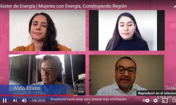 Seremi de Energía participó en Webinar para mujeres proveedoras 