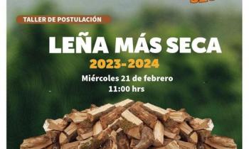 Seremi de Energía invita a taller online del Programa Leña Más Seca 