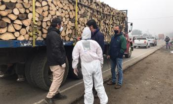 Seremi de Energía y Medio Ambiente refuerzan llamado a utilizar leña seca en los hogares de la región de Los Lagos