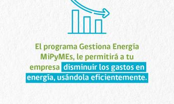 Invitan a Mipymes de la región de Los Lagos al taller online Gestiona Energía