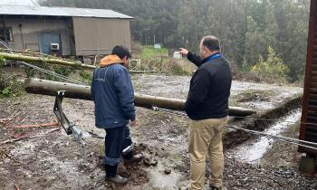 Sistema frontal: Energía Ñuble mantiene despliegue en terreno para apoyar reposición del suministro eléctrico