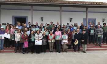 Gobierno entregará más de $600 millones a leñeros afectados por incendios forestales