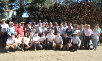 Gobierno lanza programa para extraer y comercializar leña afectada por incendio
