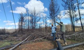 Ministerio de Energía supervisó estado de conexión de viviendas de emergencia tras paso del Sistema Frontal