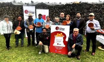 Se lanzó la 2da Convocatoria del Sello Calidad de Leña con la entrega de este reconocimiento al primer comerciante de Puyehue
