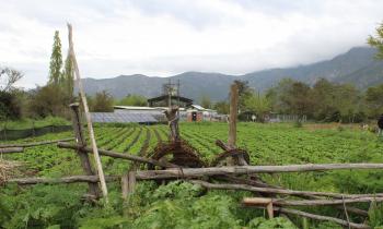 Beneficios de combinar energía solar y agricultura