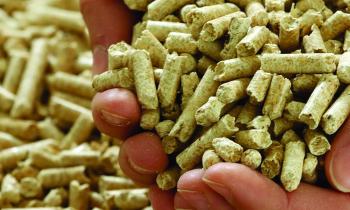 Presentan el primer índice de precios para calefactores y calderas de biomasa en Chile