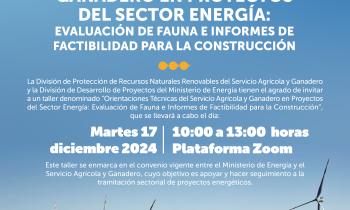 Orientaciones Técnicas del Servicio Agrícola y Ganadero en Proyectos del Sector Energía