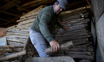 Fiscalización de uso de leña seca  