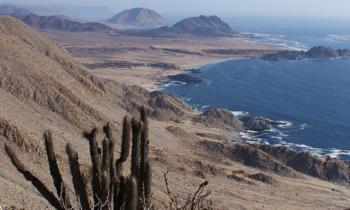 Pescadores de Pan de Azúcar reciben paneles solares para refrigeración