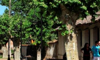 ENERGÍA DE LA REGIÓN DEL MAULE