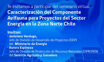 Te invitamos a participar del seminario virtual Caracterización del Componente  Avifauna para Proyectos del Sector  Energía en la Zona Norte Chile