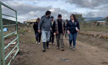 Seremi de Energía, Erika Ubilla recorrió zona afectada “El Peumo” de la comuna de Pencahue